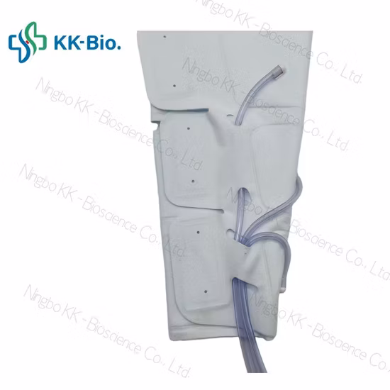 Portable Sequential Pneumatic Compression Device for Dvt