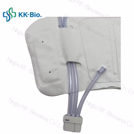 Portable Sequential Pneumatic Compression Device for Dvt